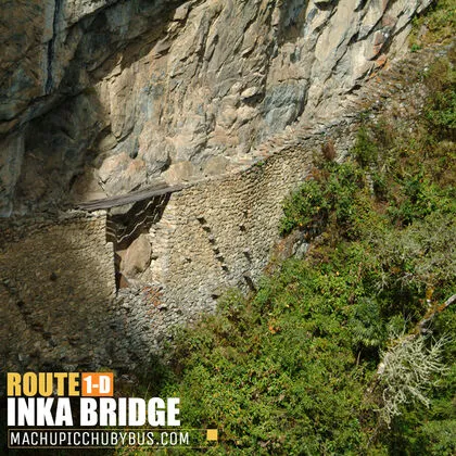 Inka Bridge Route 1-D | Machu Picchu