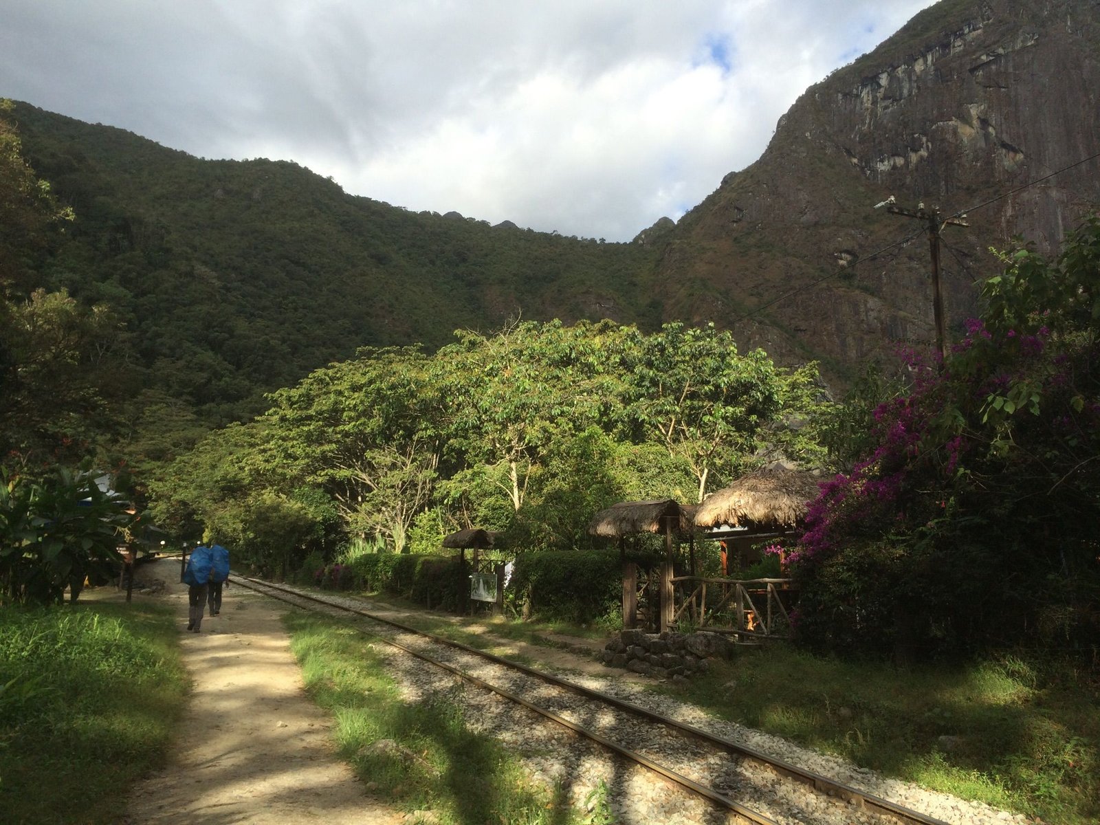 Mandor, Machu Picchu - Machu Picchu En Bus