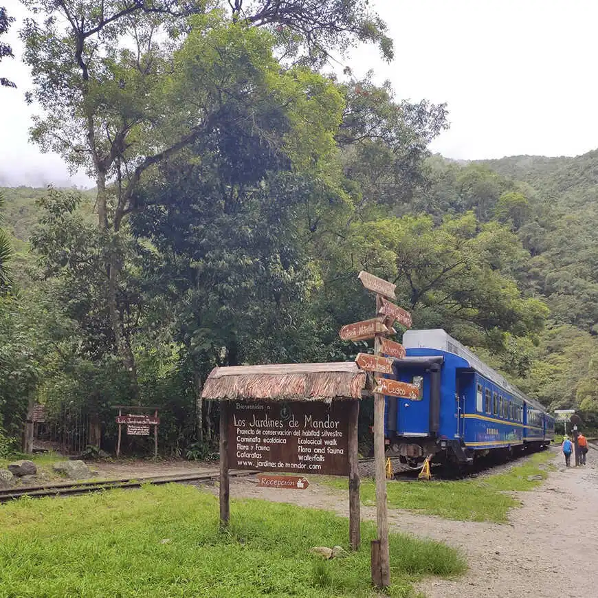 Mandor - Machu Picchu